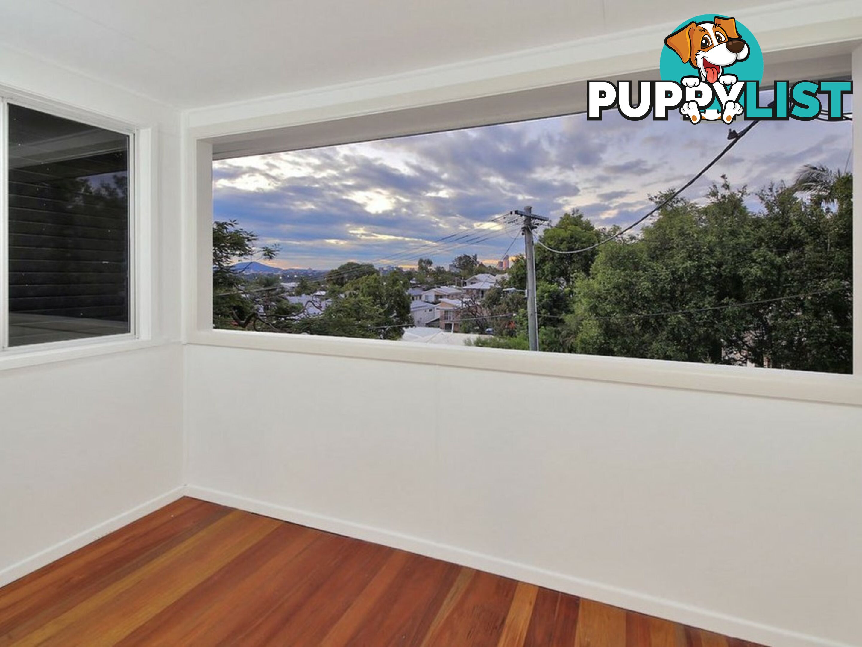 14 Kintore Street ANNERLEY QLD 4103