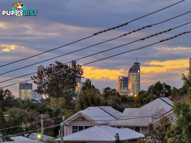 14 Kintore Street ANNERLEY QLD 4103