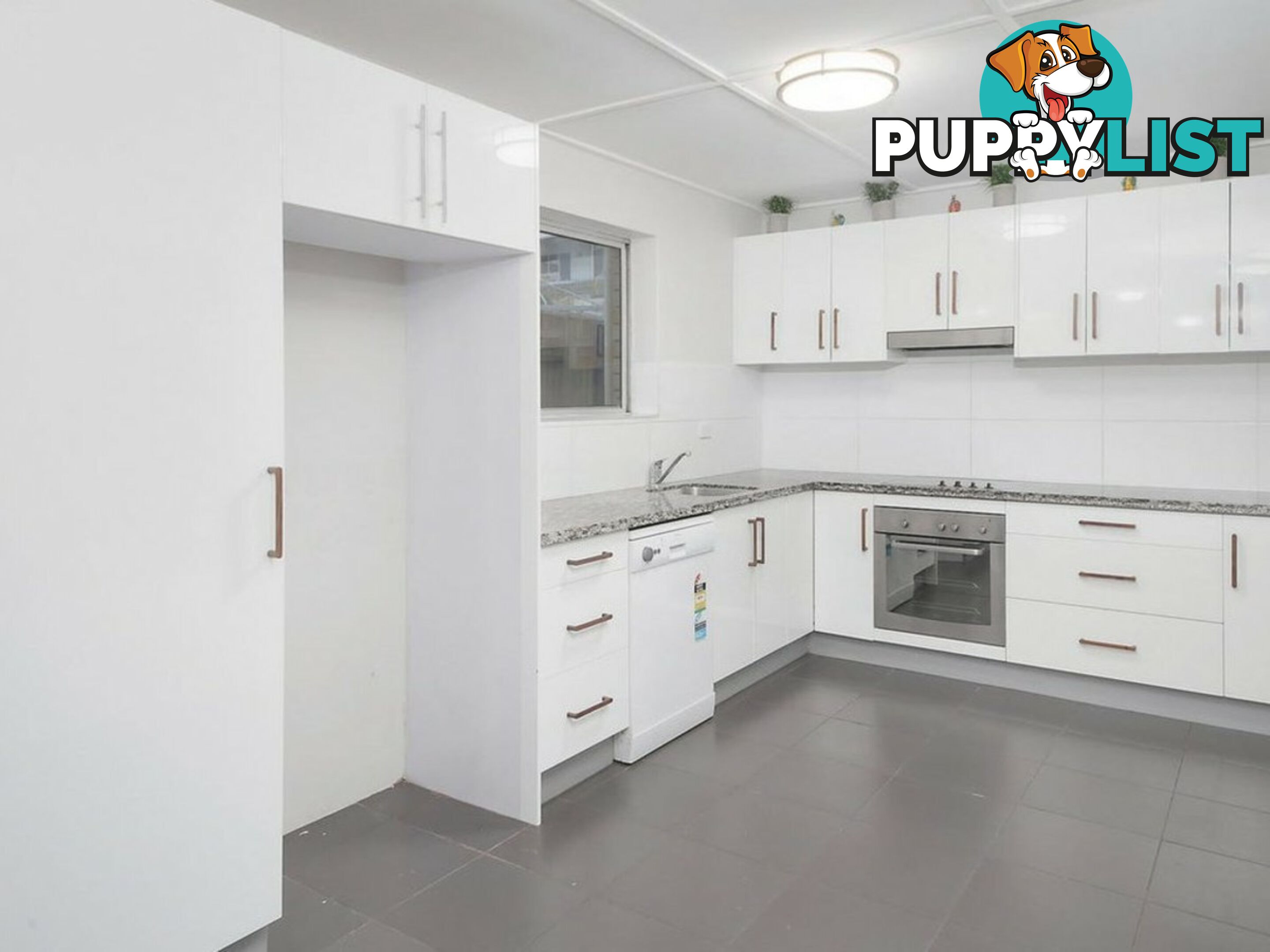12 Kintore Street ANNERLEY QLD 4103