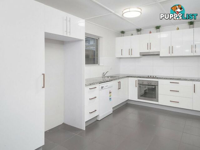 12 Kintore Street ANNERLEY QLD 4103