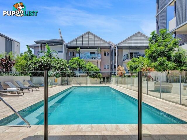 Unit 4202/135-151 Annerley Road DUTTON PARK QLD 4102