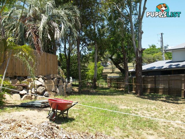10 Artemis Avenue SEVEN HILLS QLD 4170
