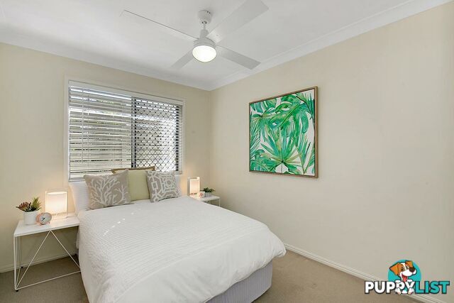 3/117 Ekibin Road ANNERLEY QLD 4103