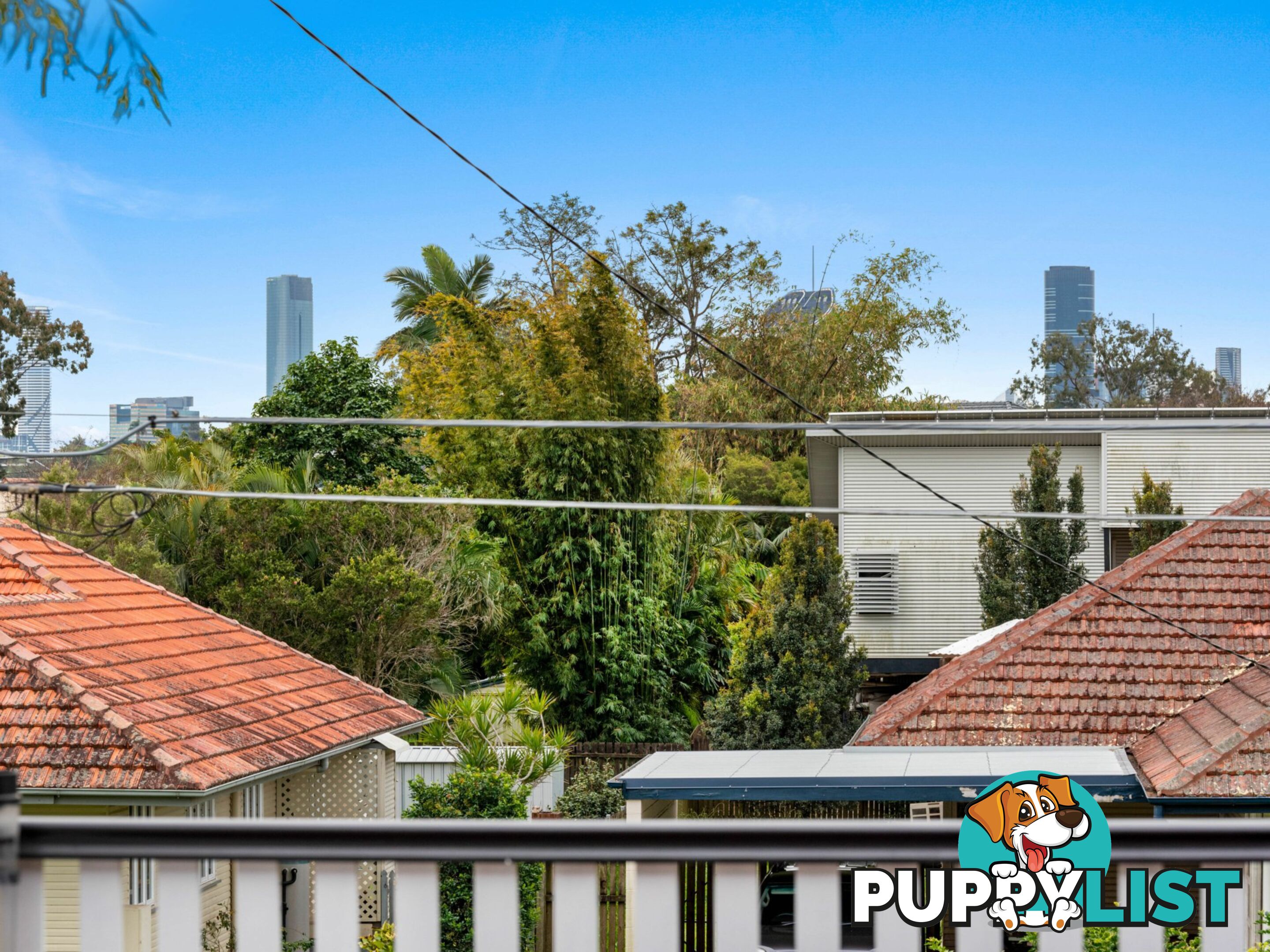 12 Allamanda Street FAIRFIELD QLD 4103
