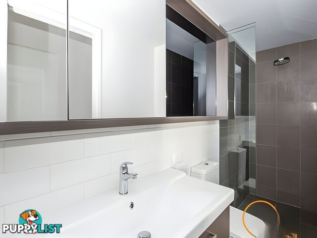 8/17 Carl Street WOOLLOONGABBA QLD 4102