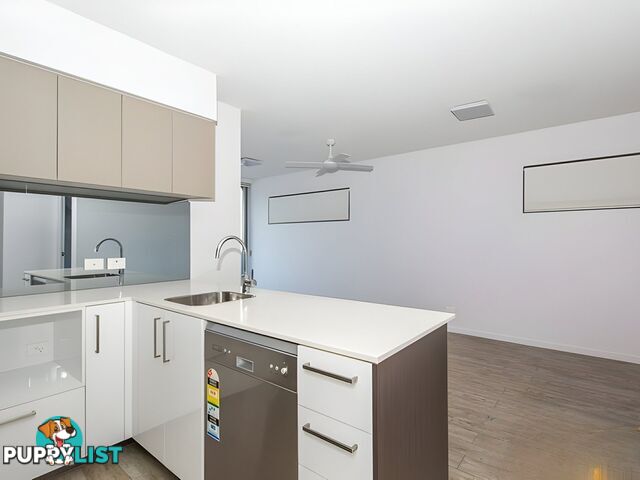 8/17 Carl Street WOOLLOONGABBA QLD 4102