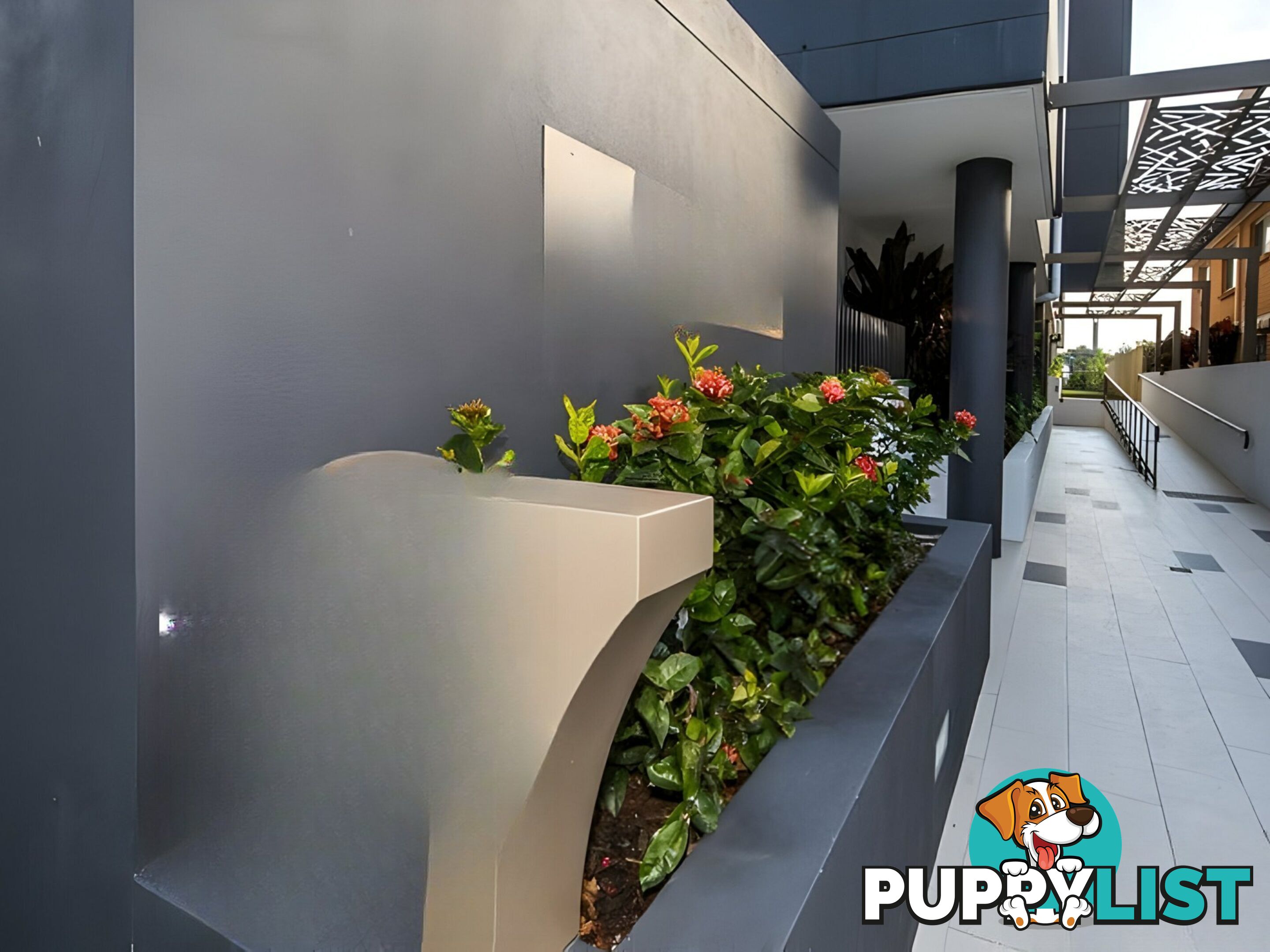8/17 Carl Street WOOLLOONGABBA QLD 4102