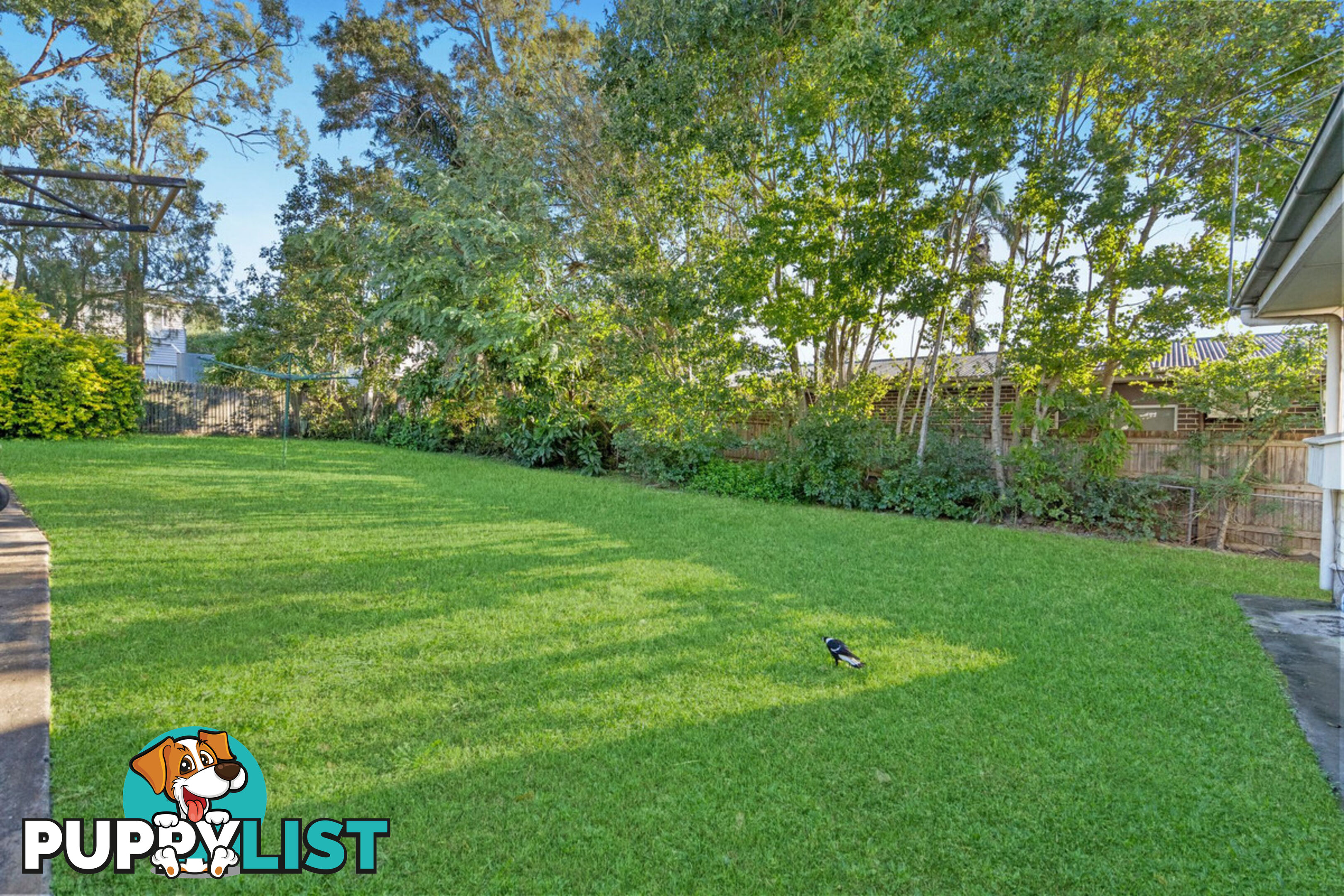 145 Ness Road SALISBURY QLD 4107