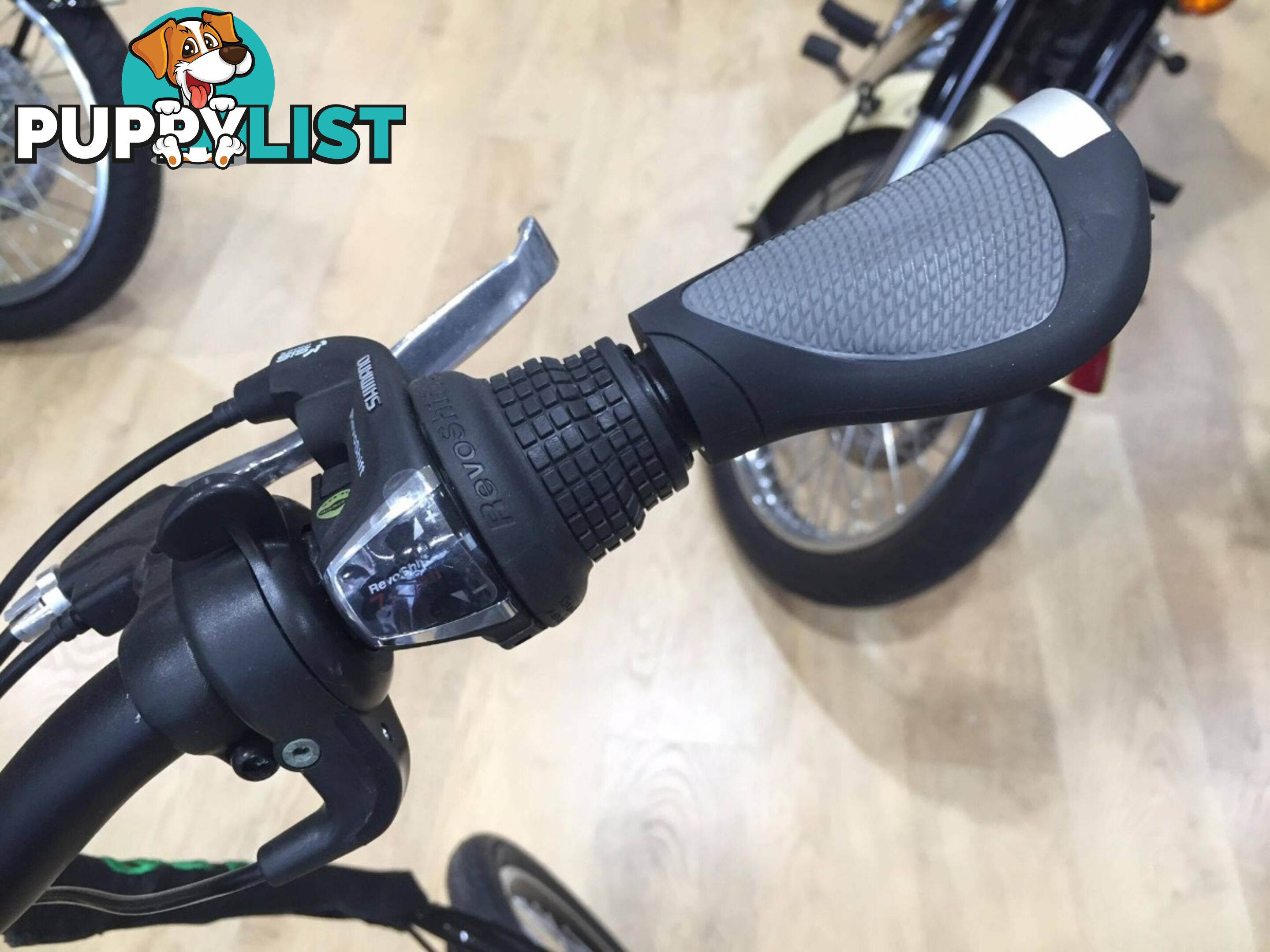 Benelli FoldCity Foldable E-Bike Green