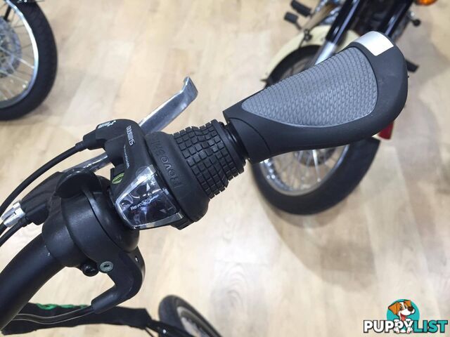 Benelli FoldCity Foldable E-Bike Green