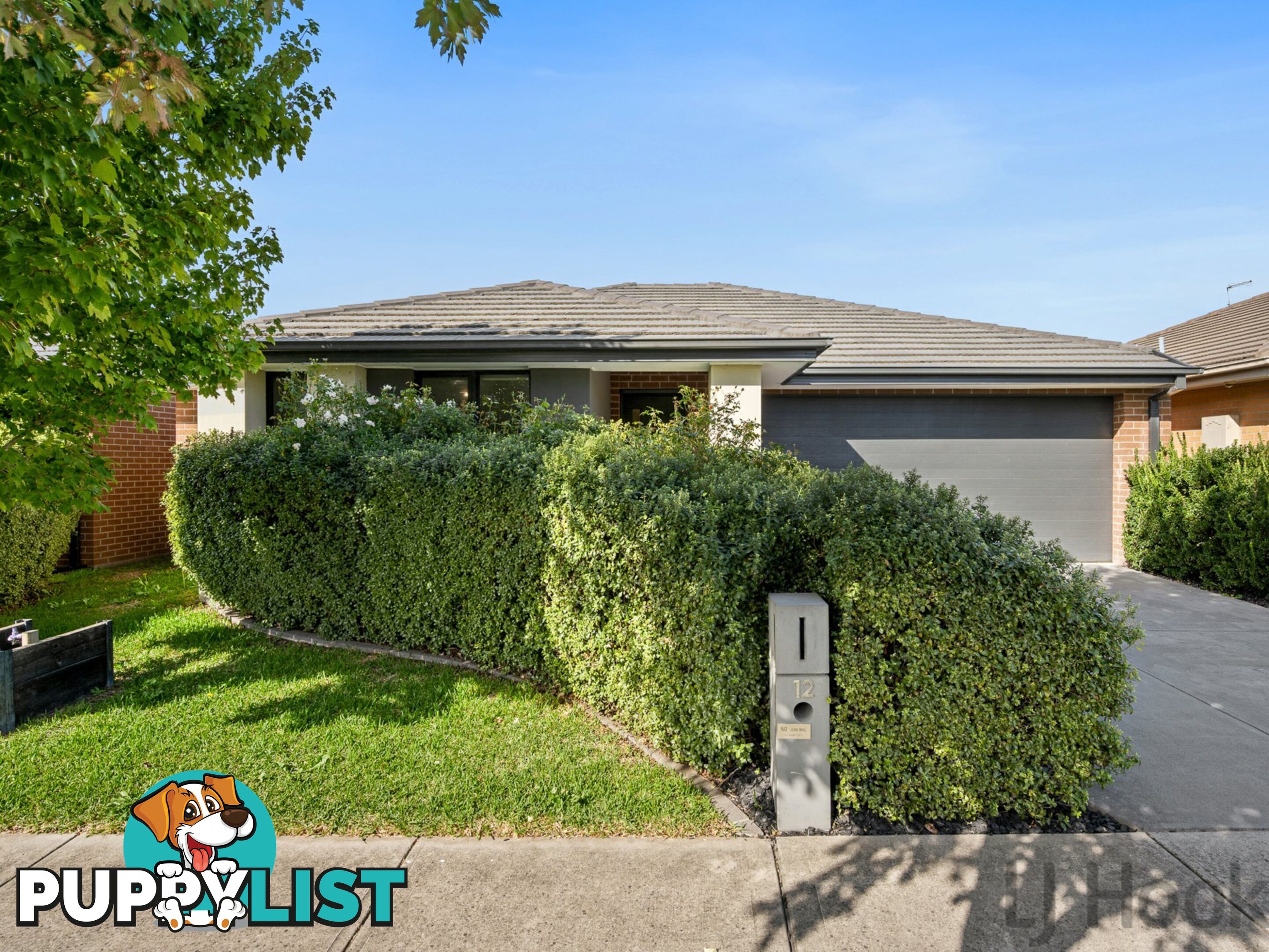 12 Nelse Street CRANBOURNE NORTH VIC 3977