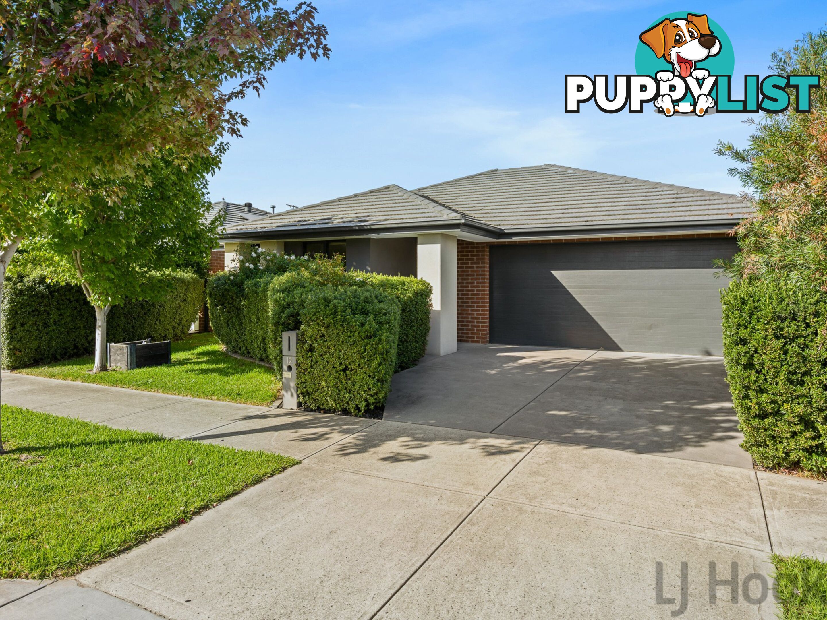 12 Nelse Street CRANBOURNE NORTH VIC 3977