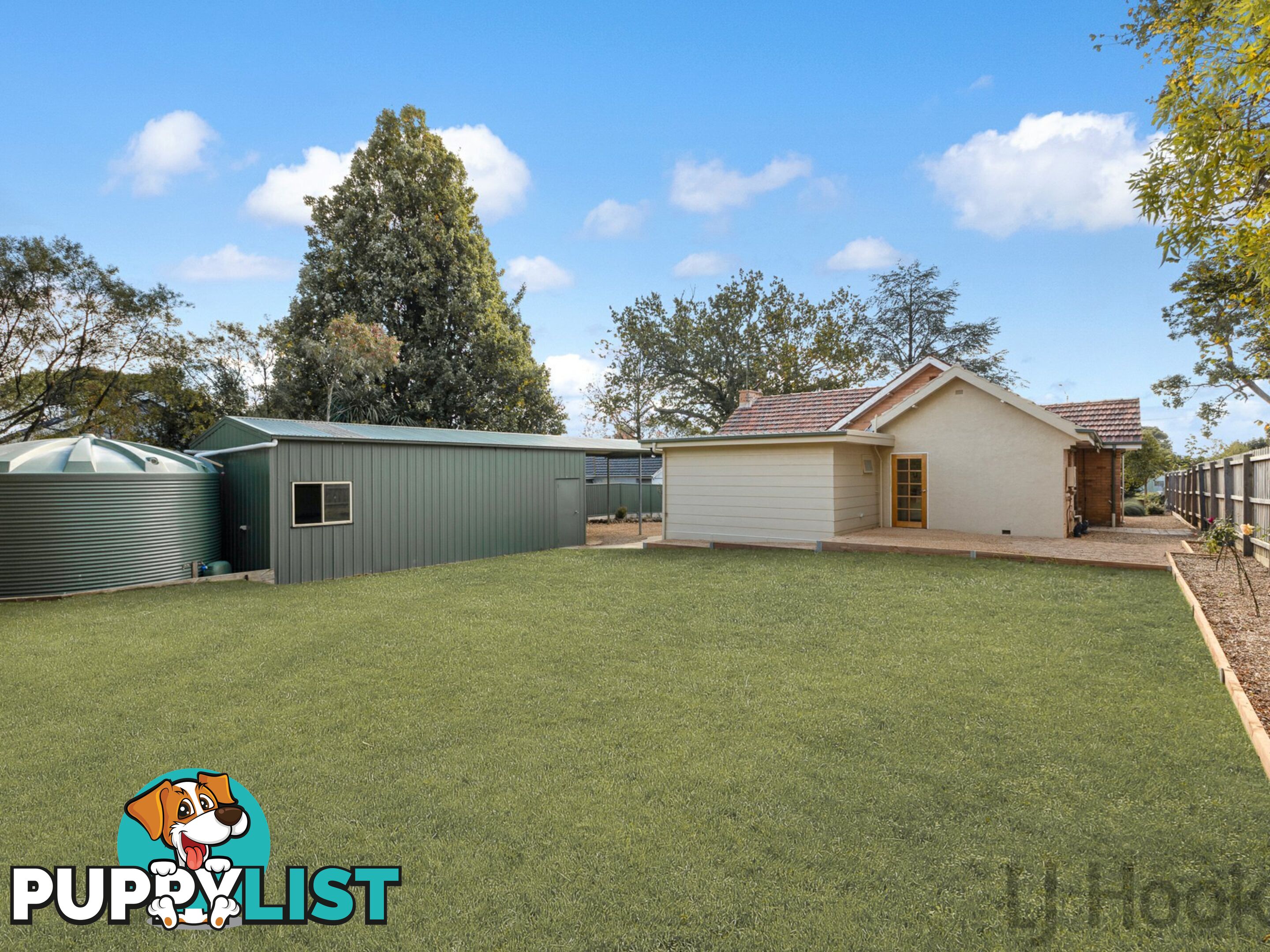 56 Boronia Road BORONIA VIC 3155