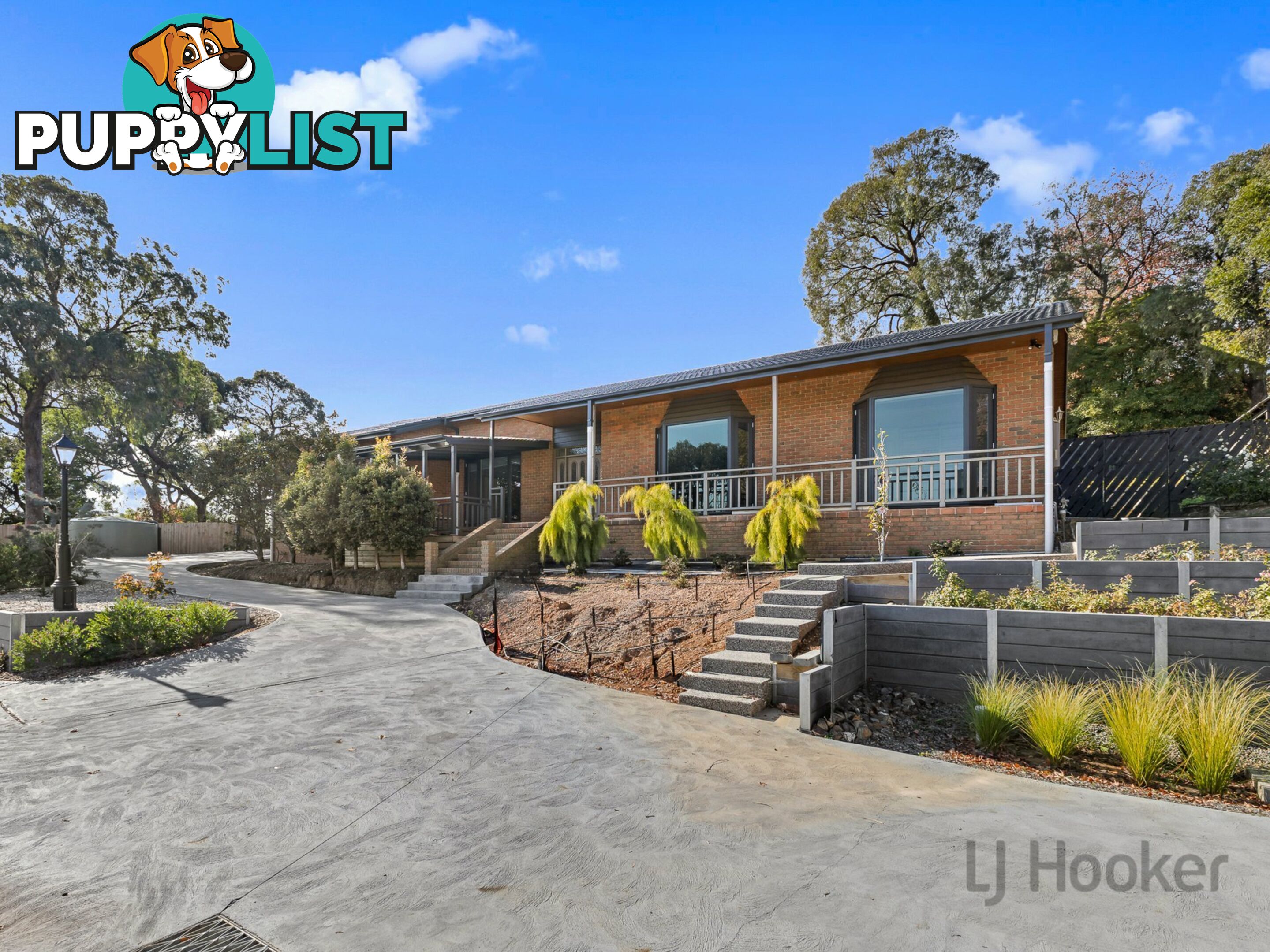6 Indigo Place BORONIA VIC 3155