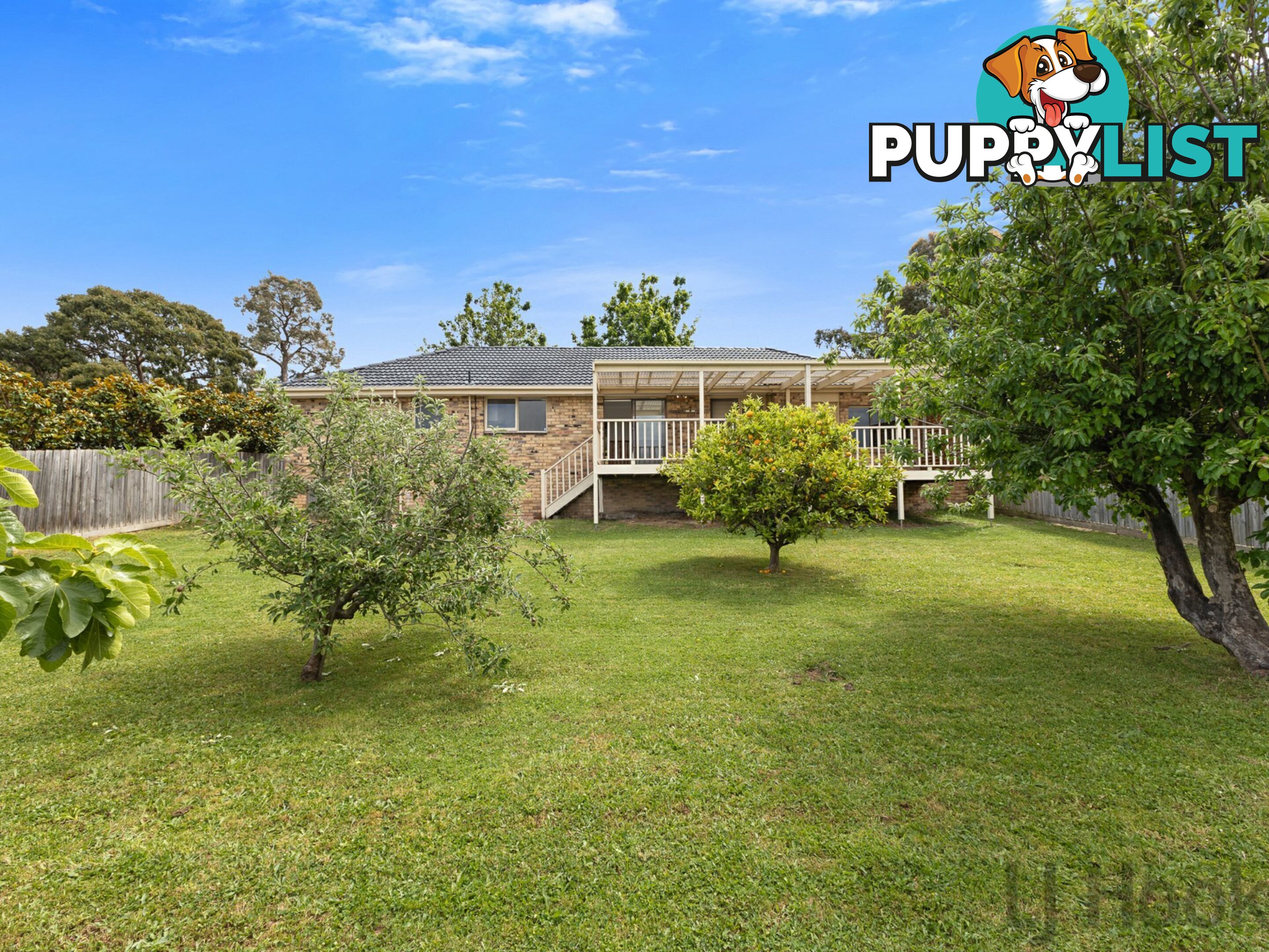 16 Yarran Grove BAYSWATER VIC 3153