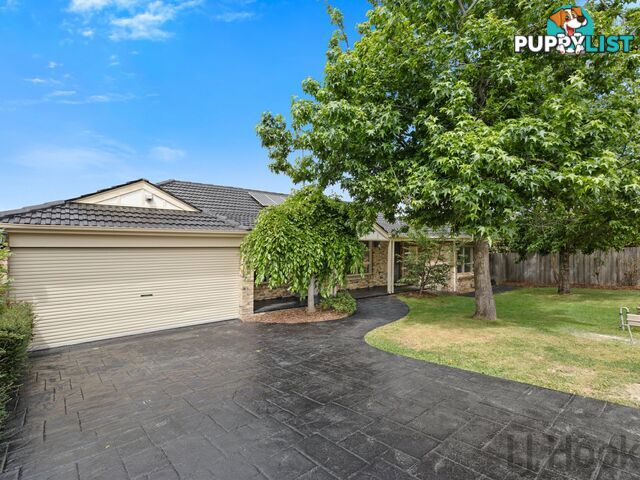 16 Yarran Grove BAYSWATER VIC 3153