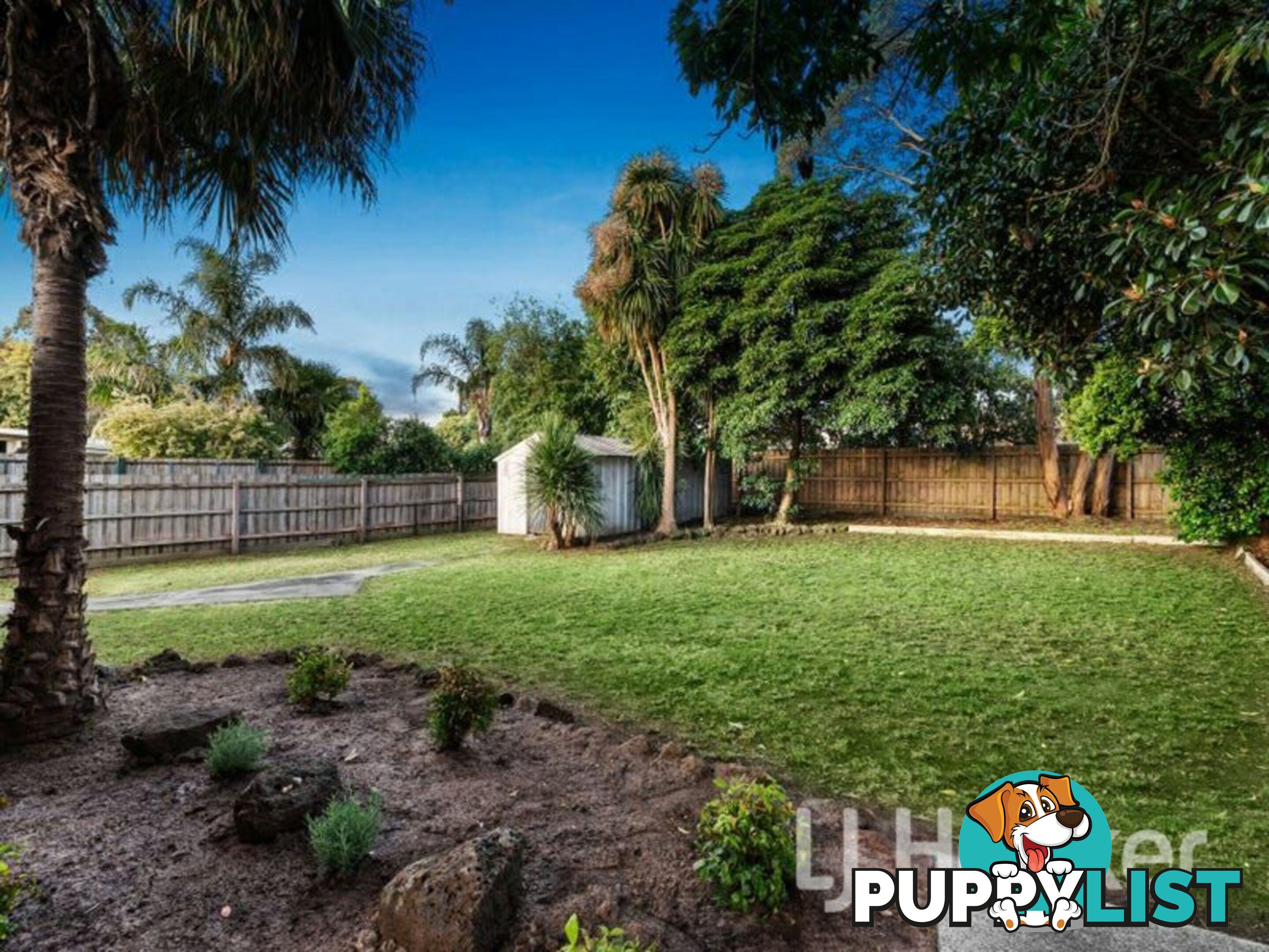63 Farnham Road BAYSWATER VIC 3153