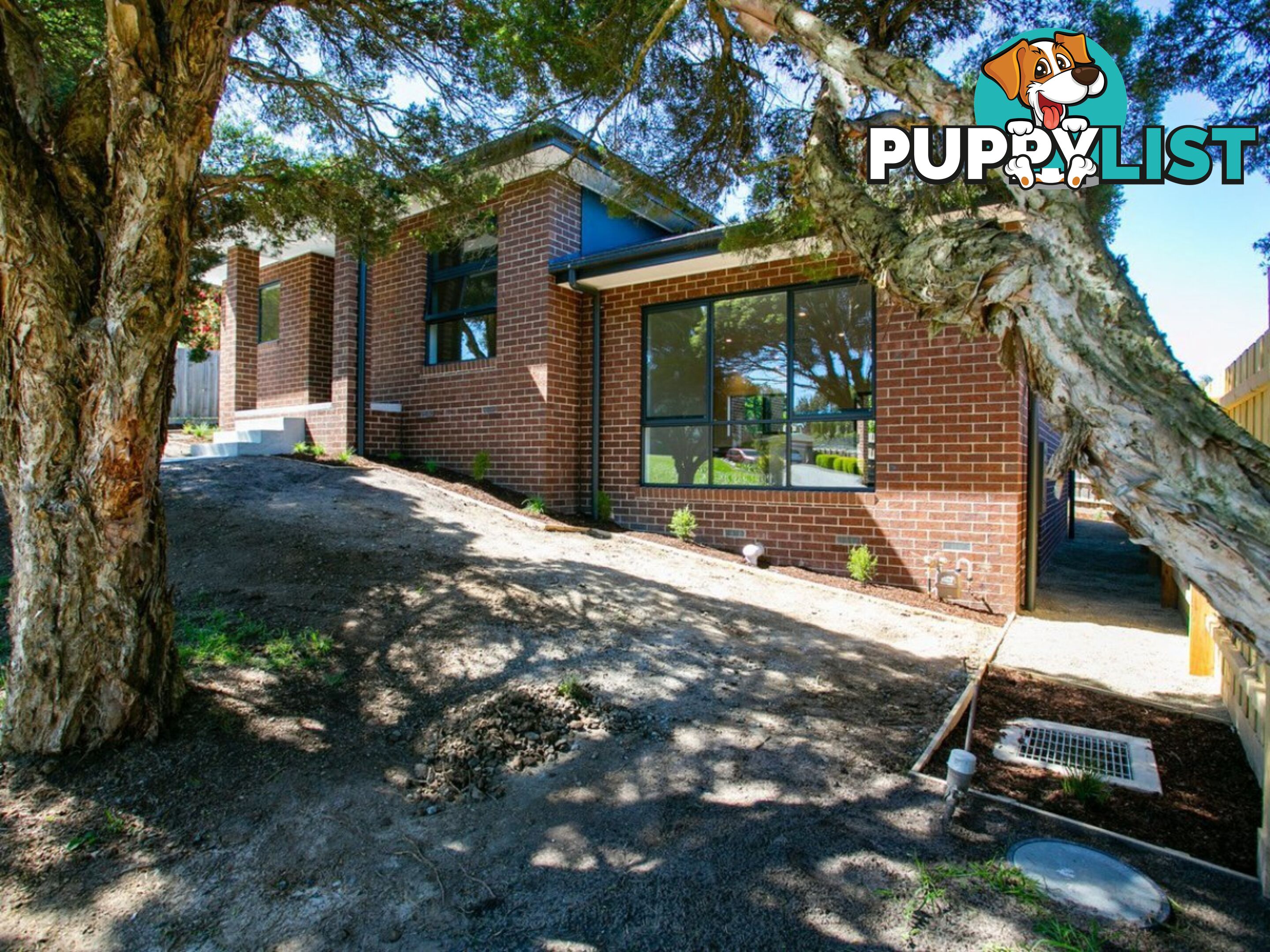 17 Horatio Court LILYDALE VIC 3140