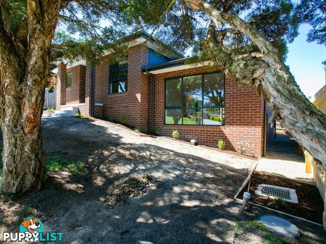 17 Horatio Court LILYDALE VIC 3140