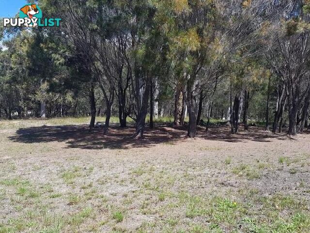 19 Naples Drive RUSSELL ISLAND QLD 4184