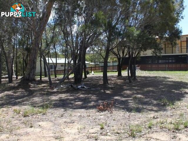 19 Naples Drive RUSSELL ISLAND QLD 4184