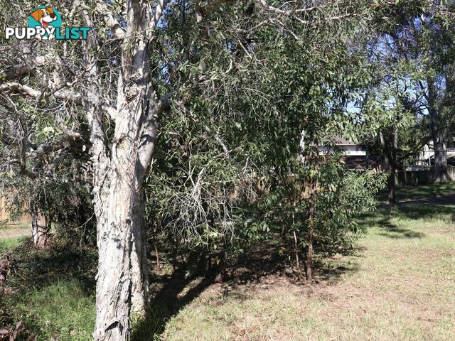 4 Pintu Drive TANAH MERAH QLD 4128