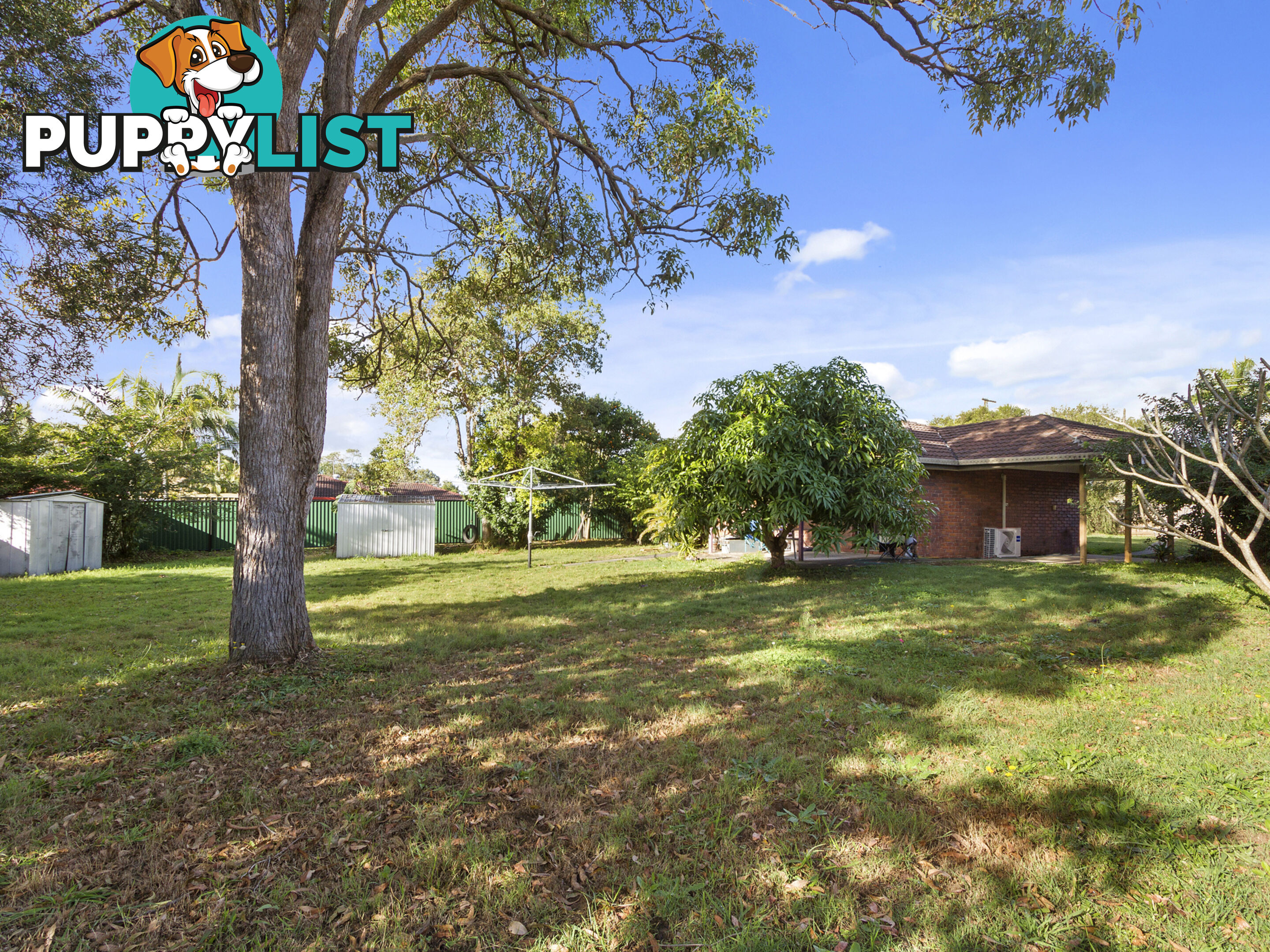 3 Amber Court BETHANIA QLD 4205