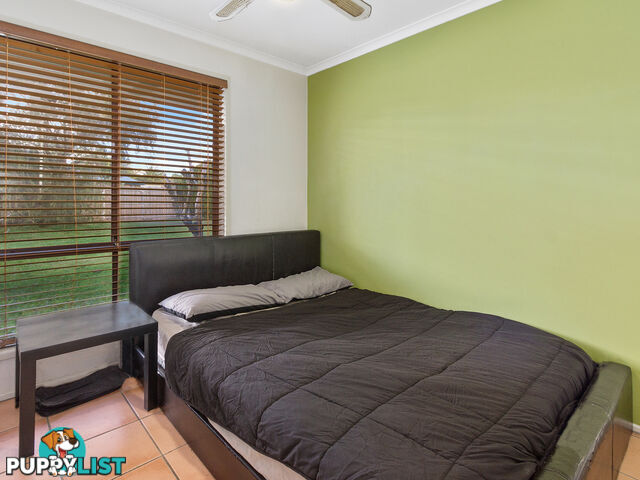 3 Amber Court BETHANIA QLD 4205