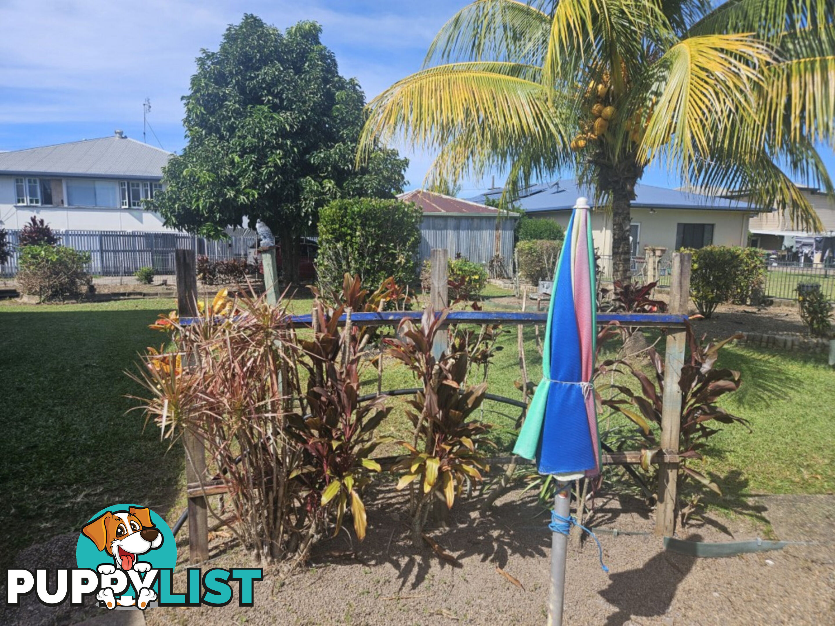 3 Palm Avenue Ingham QLD 4850