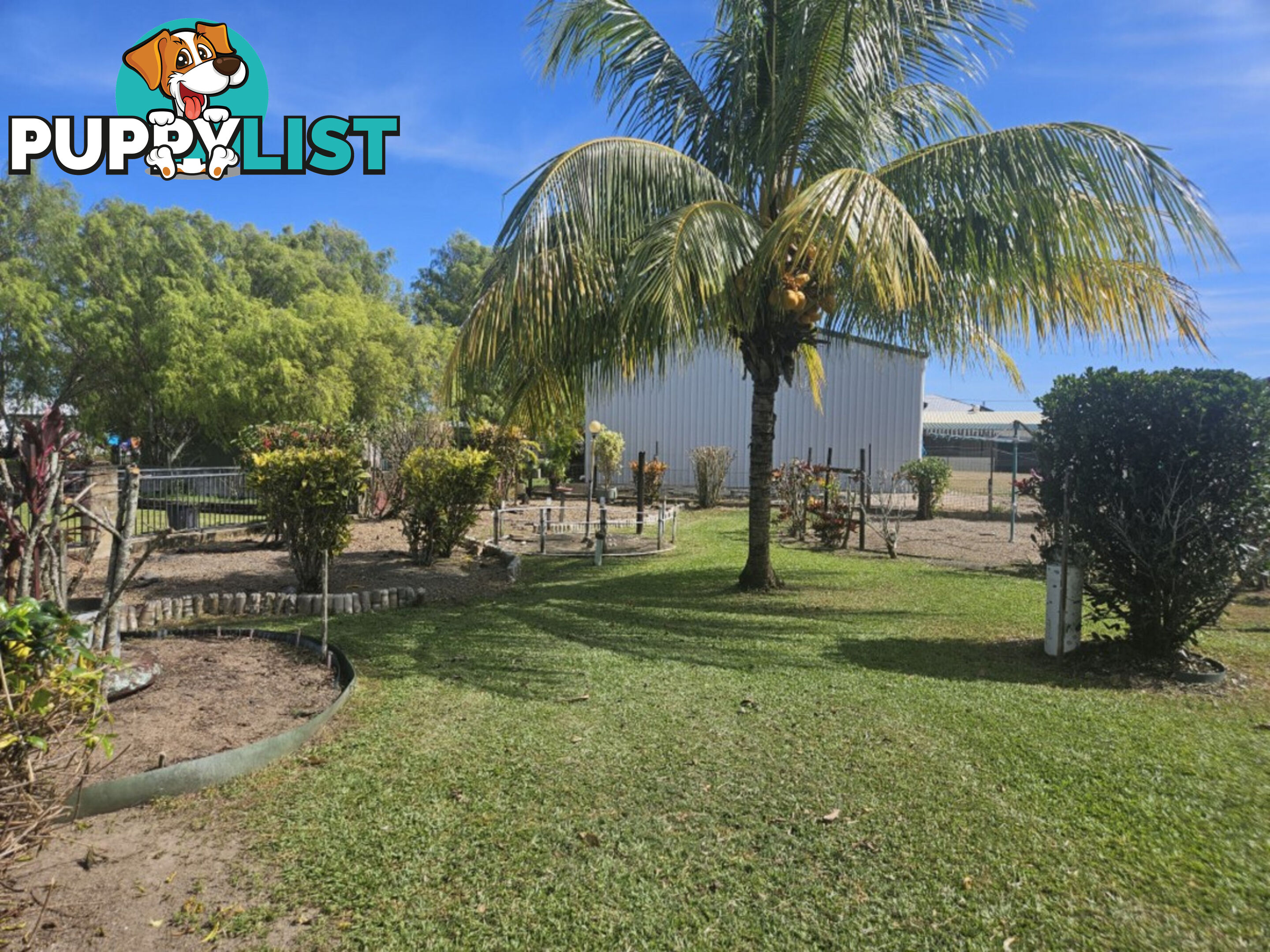 3 Palm Avenue Ingham QLD 4850