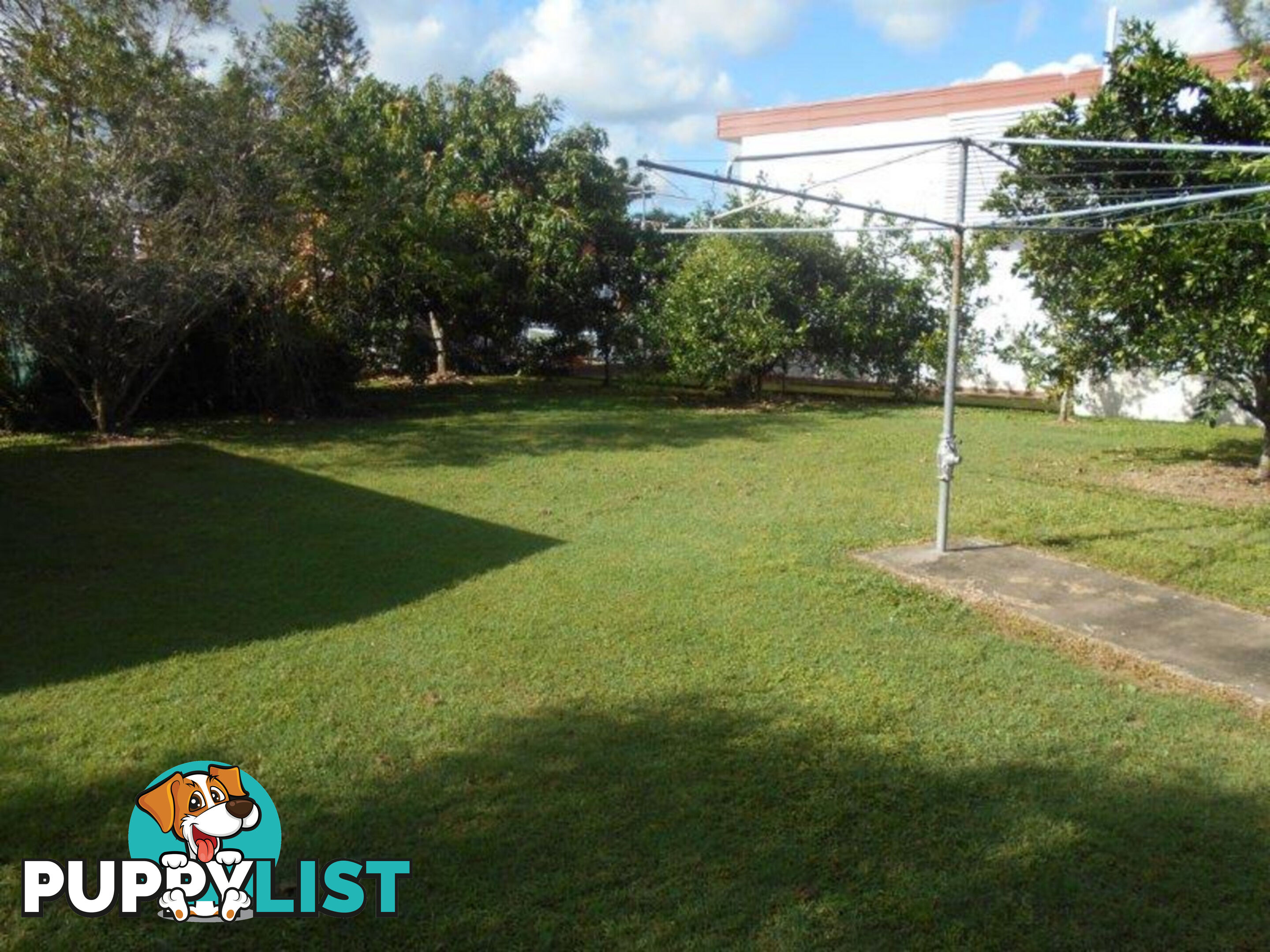 20 Ardrossan Street Ingham QLD 4850