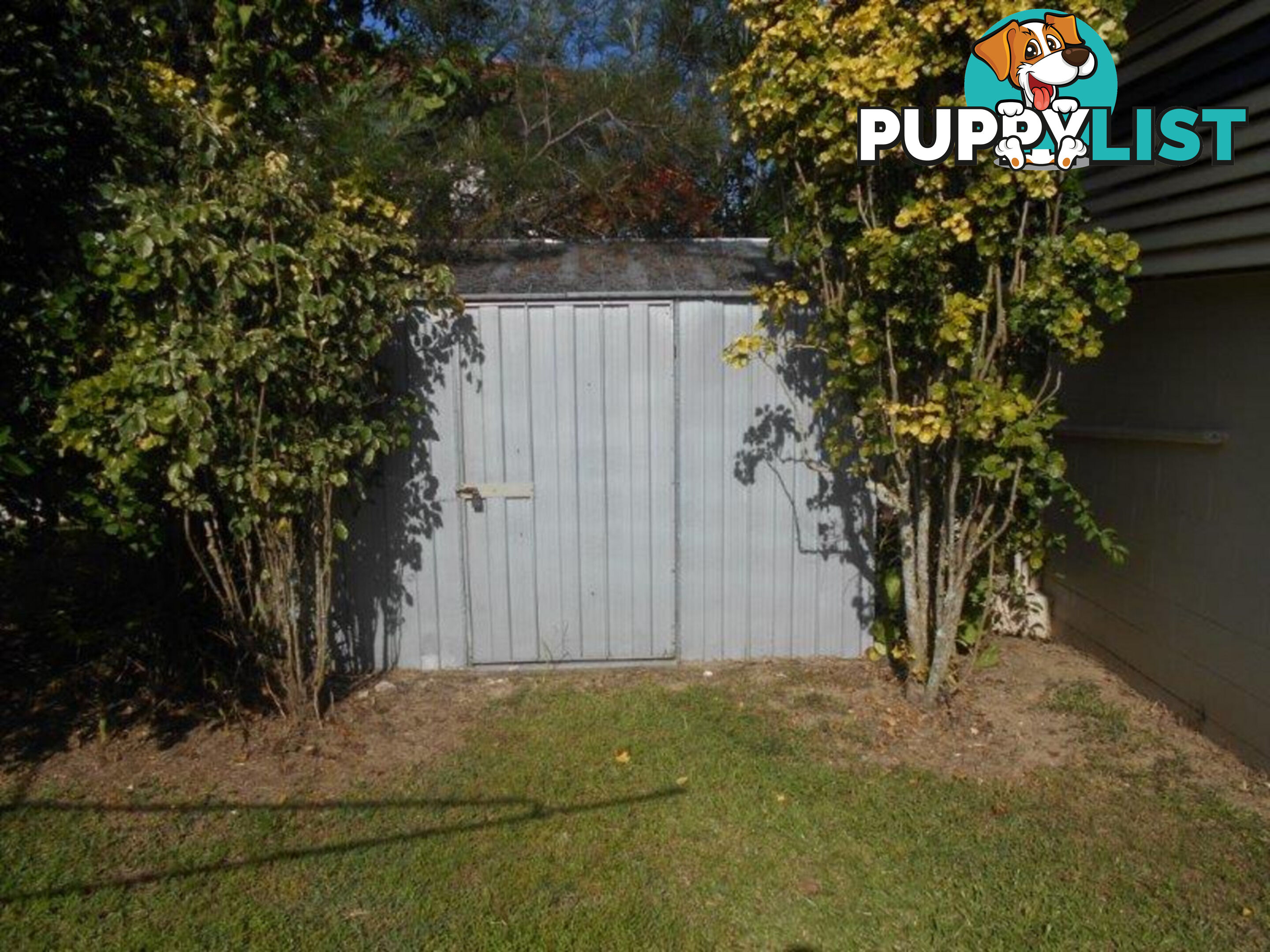 20 Ardrossan Street Ingham QLD 4850