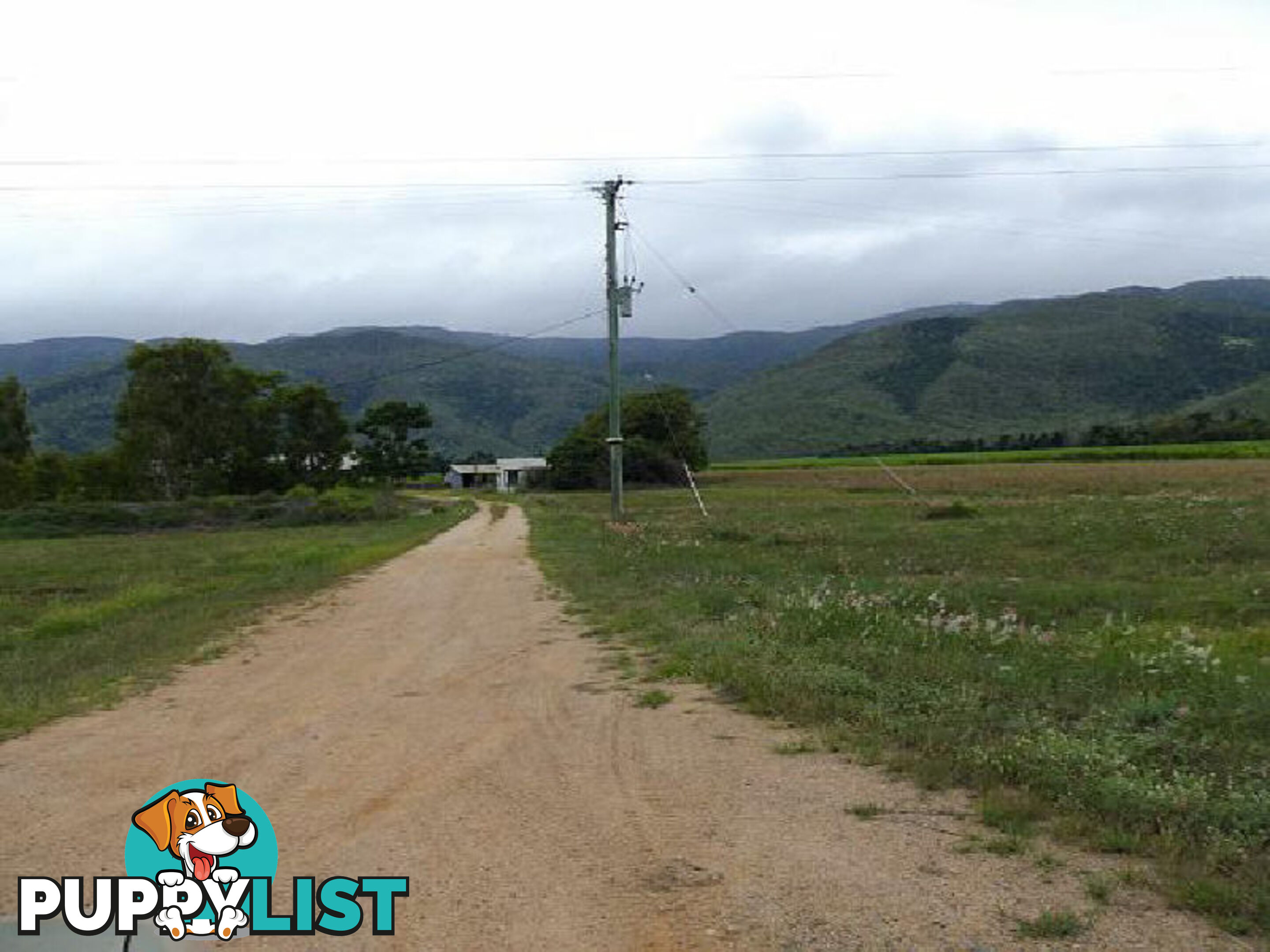 47219 Bruce Highway Bambaroo QLD 4850