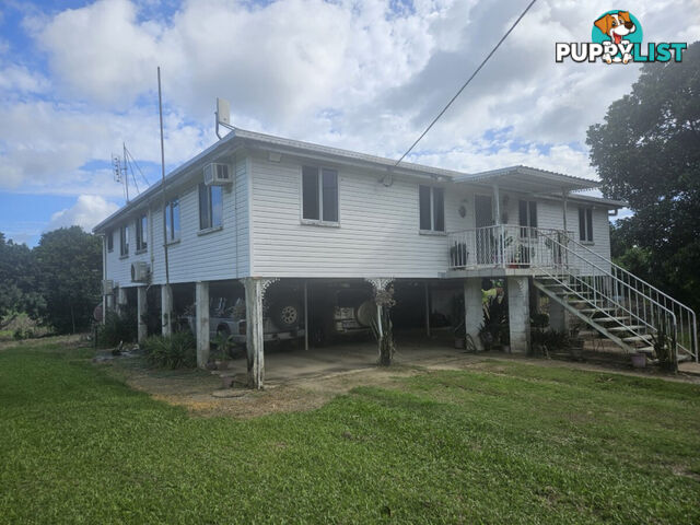 484 Halifax - Bemerside Road Bemerside QLD 4850