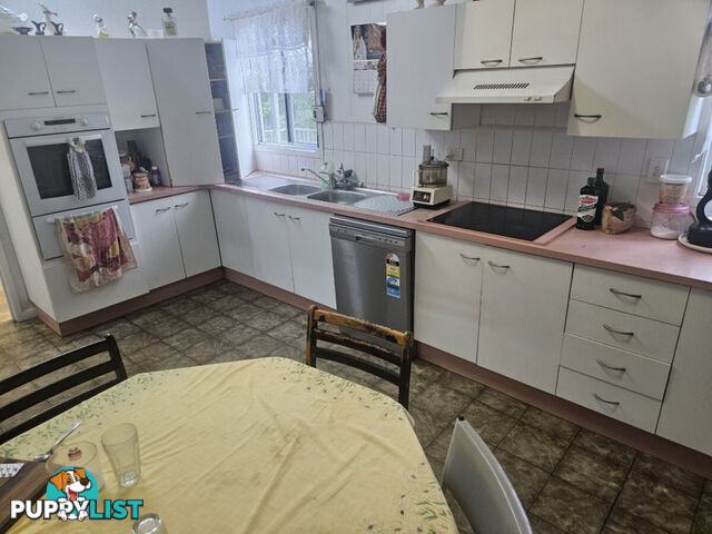 484 Halifax - Bemerside Road Bemerside QLD 4850