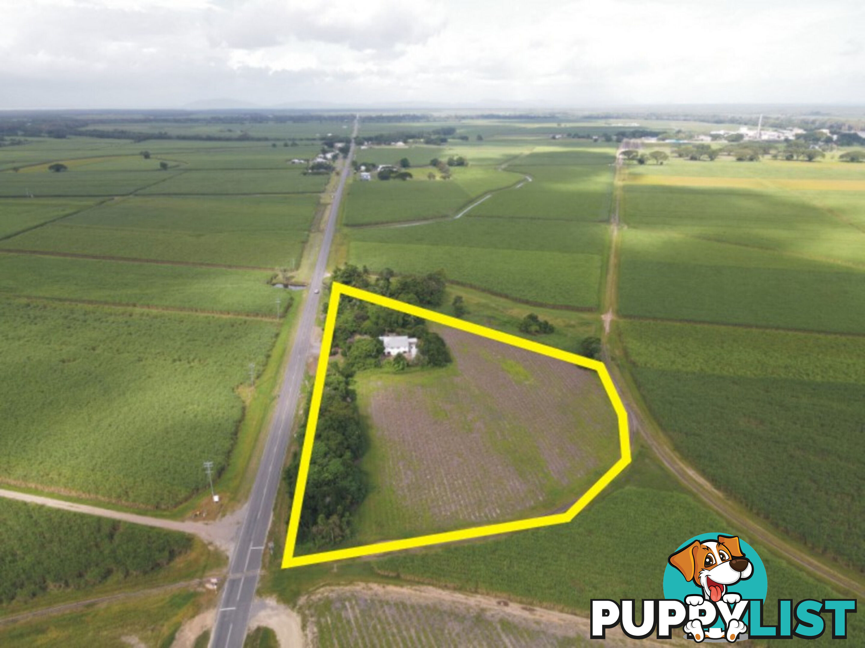 484 Halifax - Bemerside Road Bemerside QLD 4850