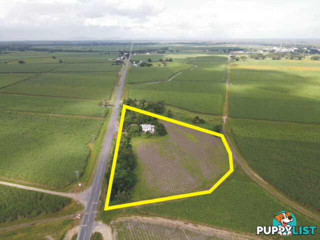 484 Halifax - Bemerside Road Bemerside QLD 4850