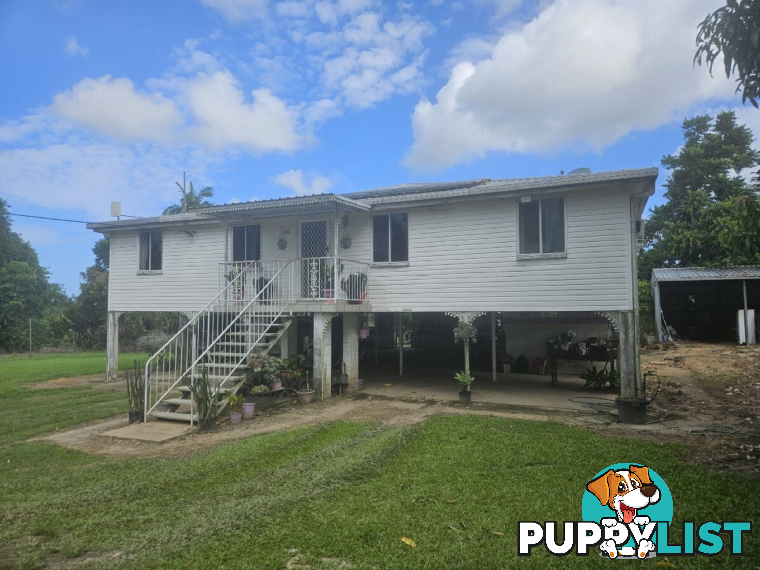 484 Halifax - Bemerside Road Bemerside QLD 4850