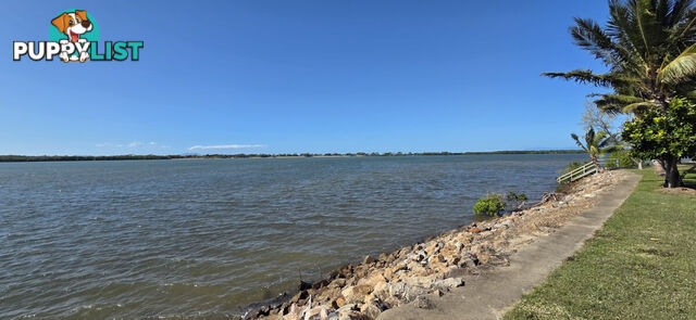 6 John Dory Street Taylors Beach QLD 4850