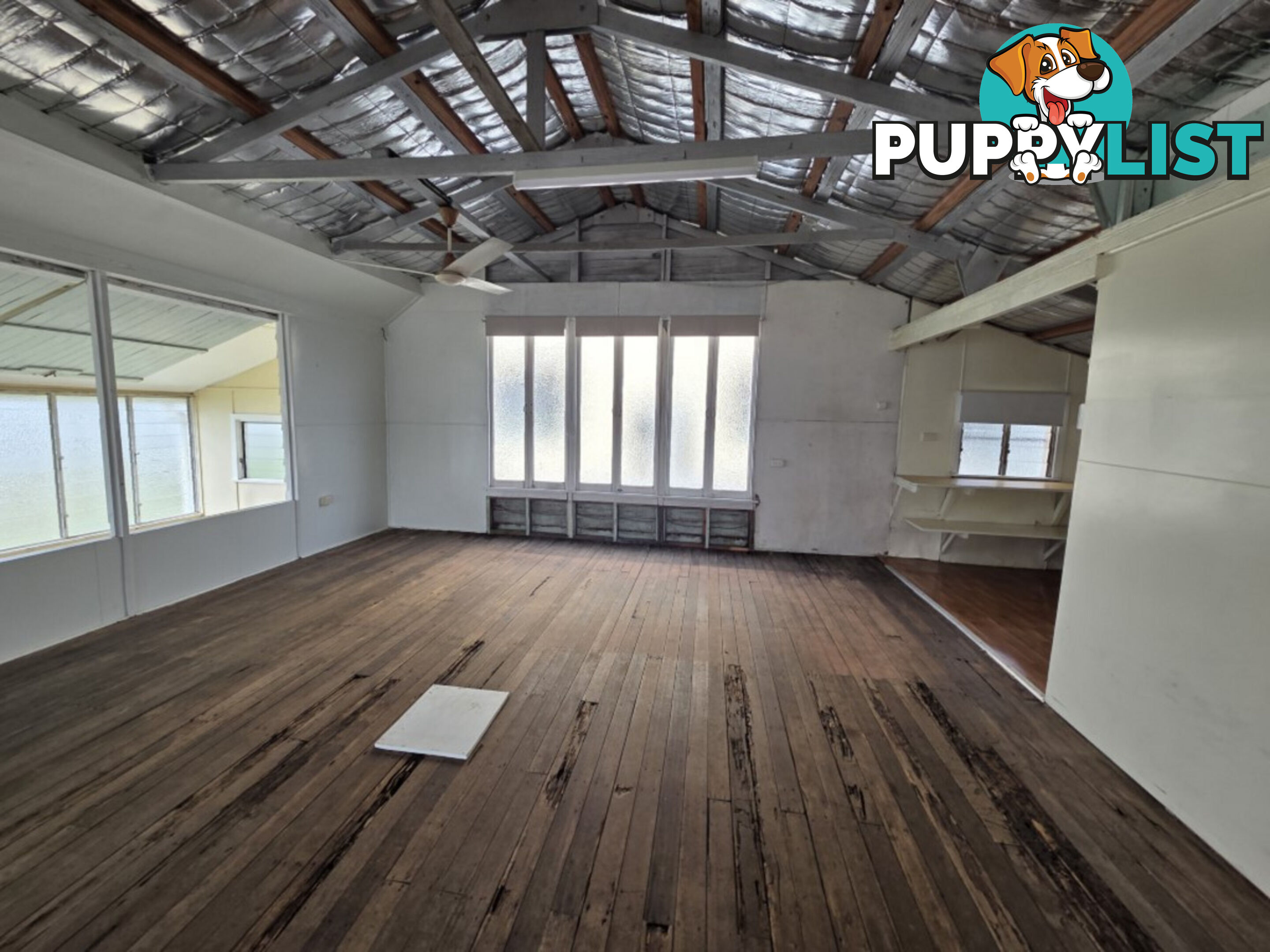 6 John Dory Street Taylors Beach QLD 4850