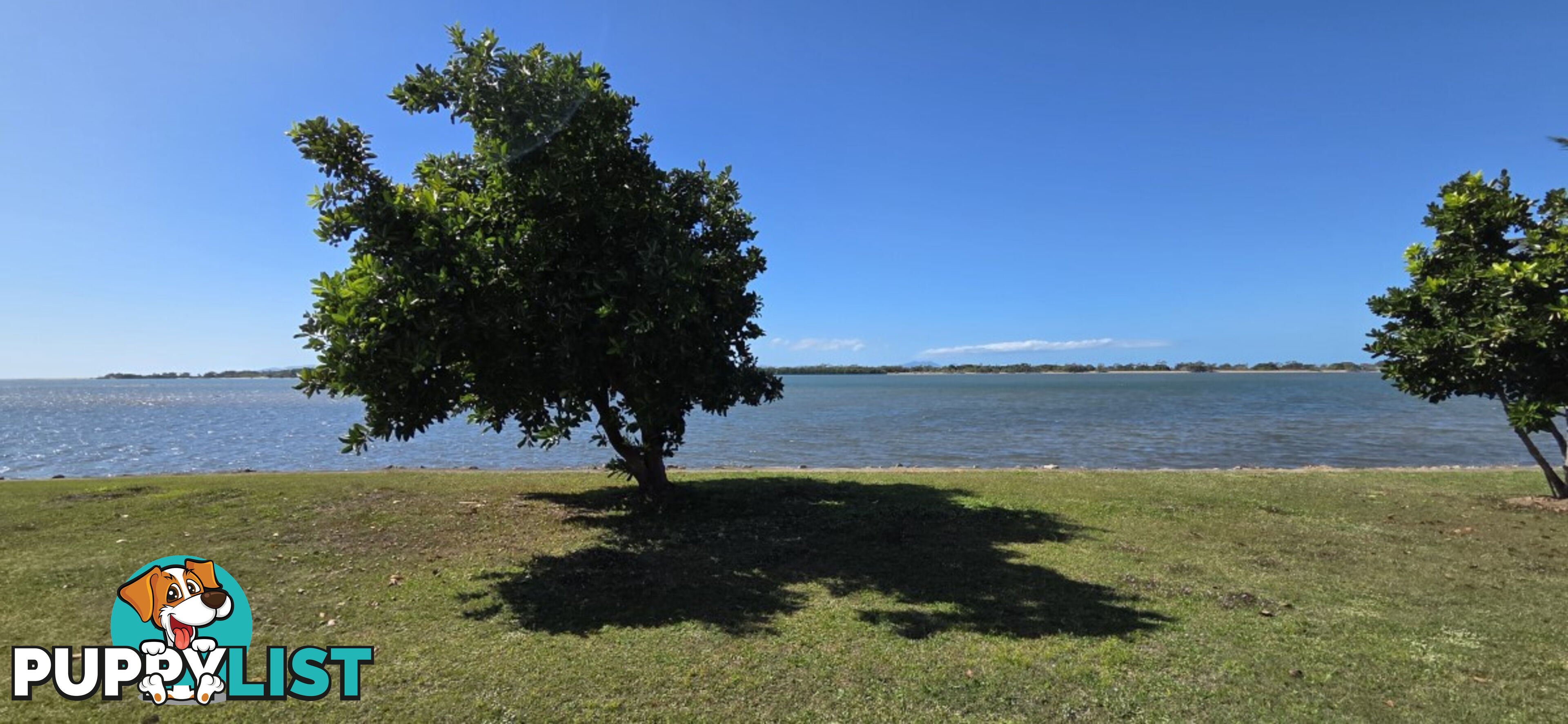 6 John Dory Street Taylors Beach QLD 4850
