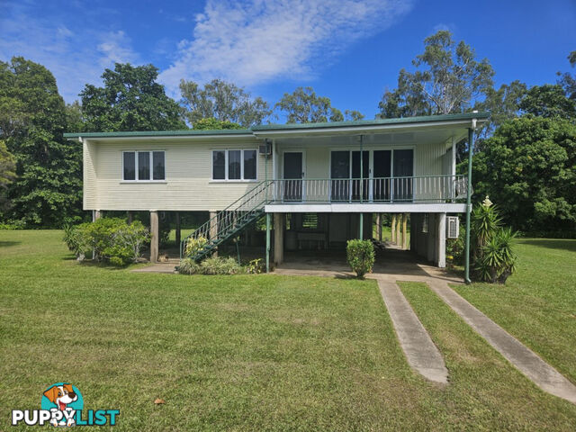 391 Cooks Lane Ingham QLD 4850