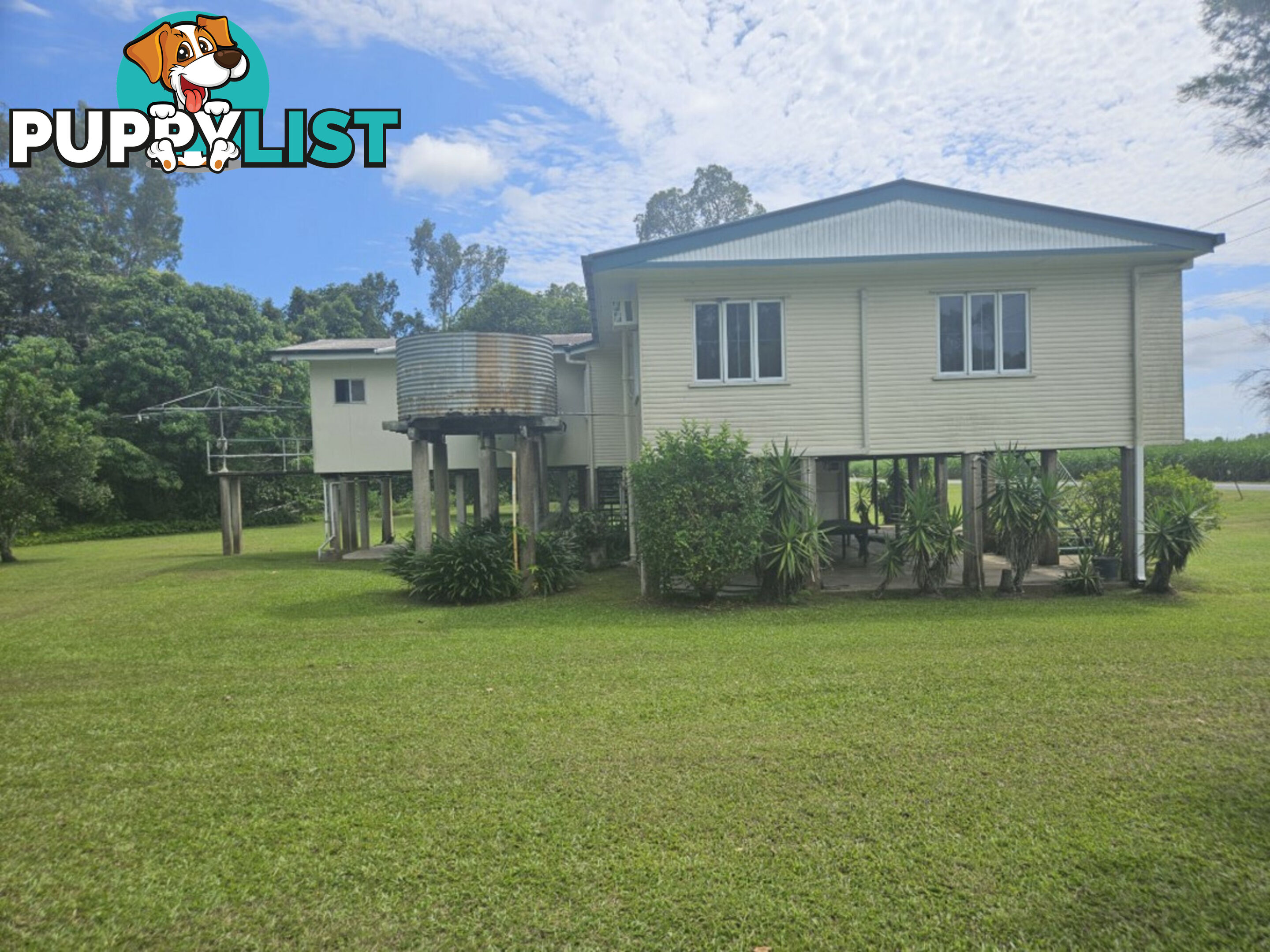 391 Cooks Lane Ingham QLD 4850