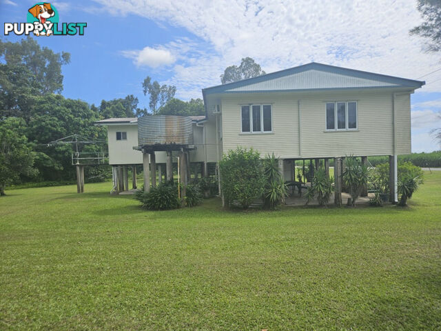 391 Cooks Lane Ingham QLD 4850