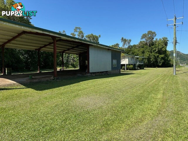 391 Cooks Lane Ingham QLD 4850