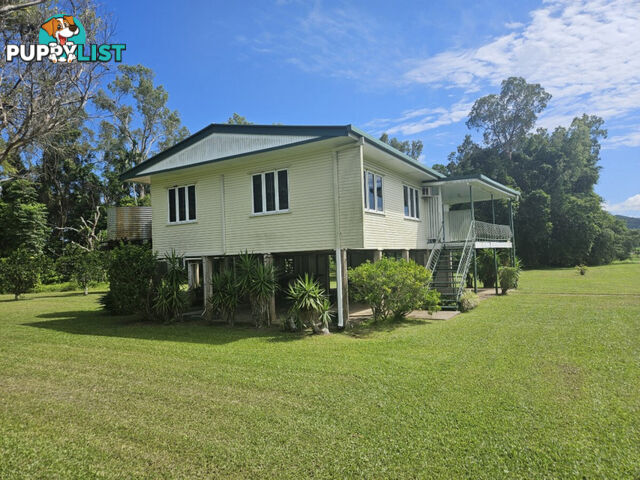 391 Cooks Lane Ingham QLD 4850