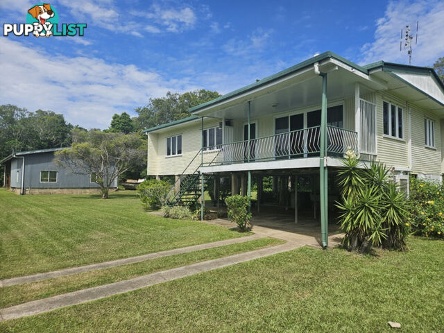 391 Cooks Lane Ingham QLD 4850