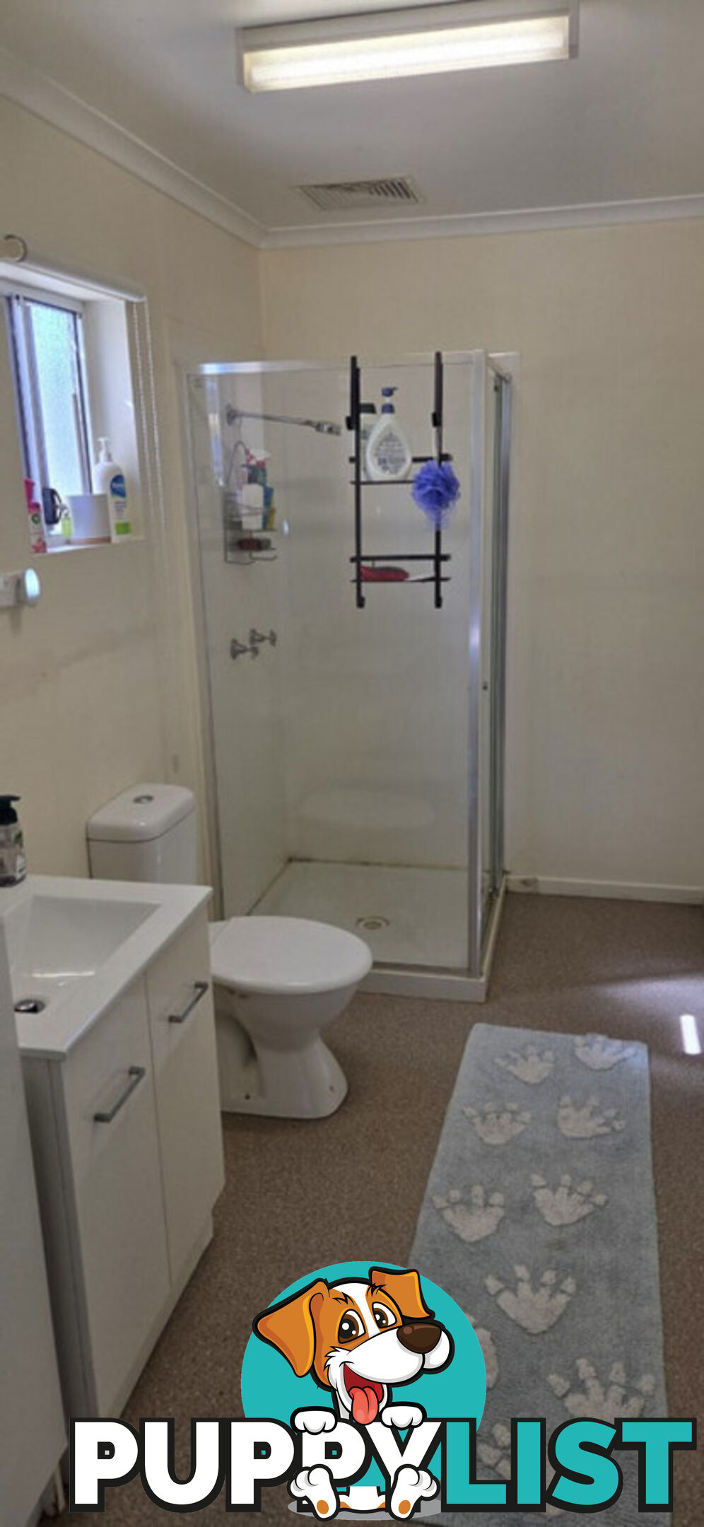 10 Bellbird Close Forrest Beach QLD 4850