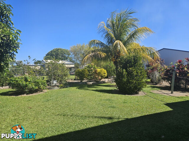 3 Palm Avenue Ingham QLD 4850