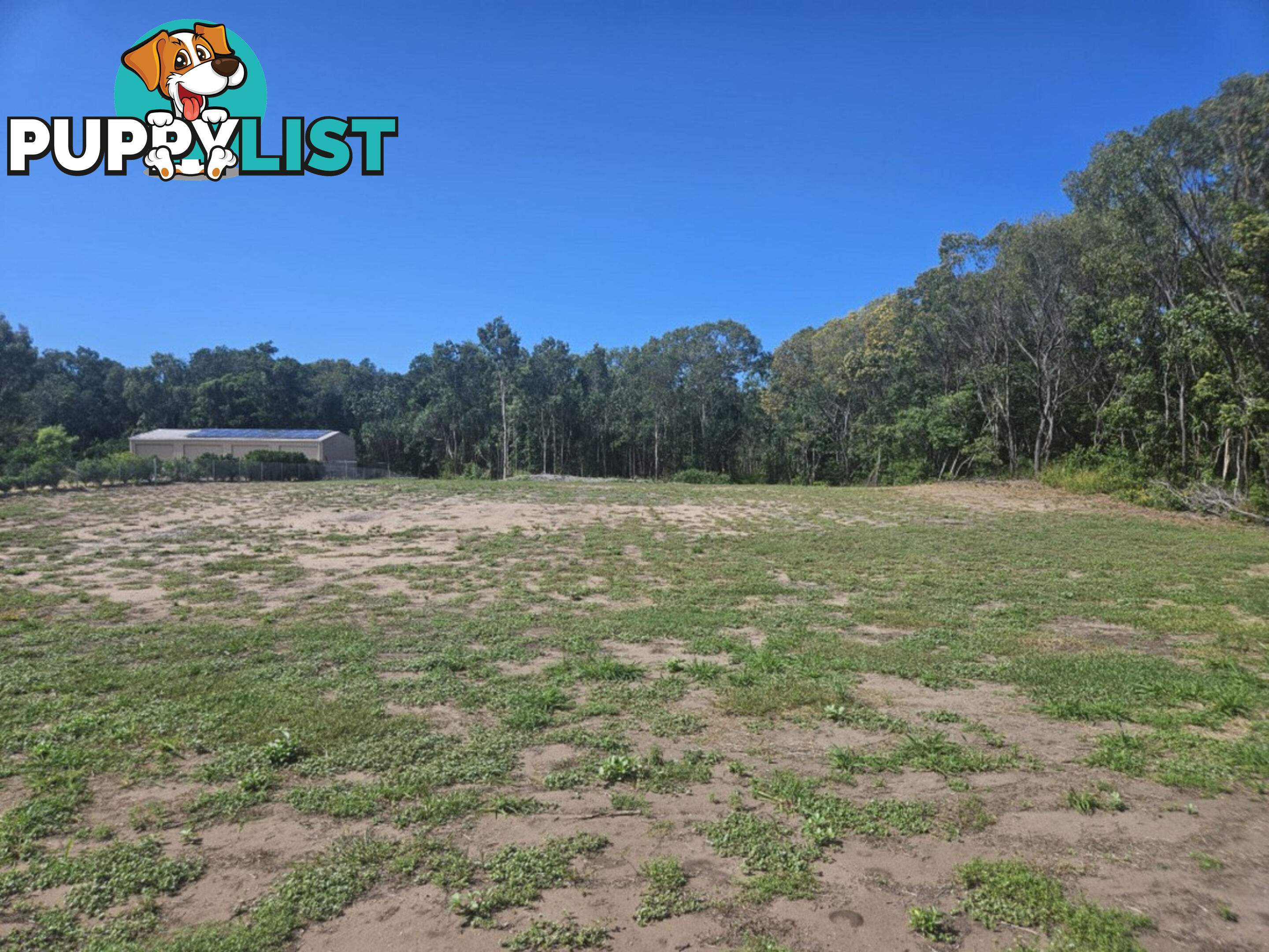 12 Mahogany Drive Forrest Beach QLD 4850